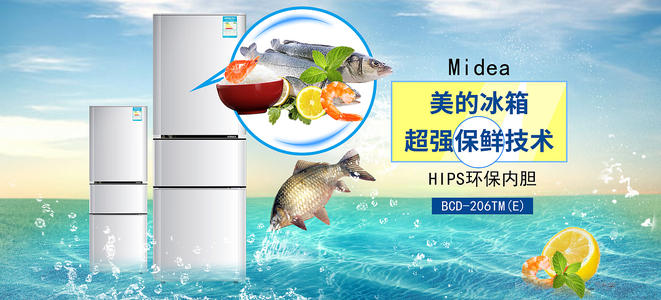 威廉姆斯学院经济学文凭证书